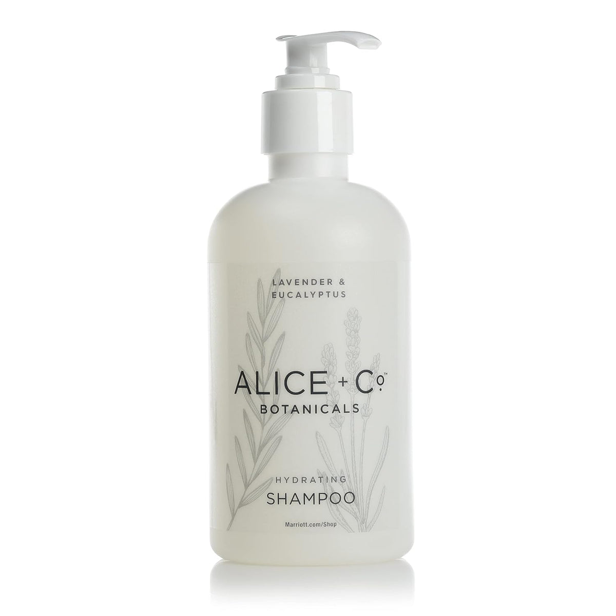 Alice-+-Co.-Champú-|-Lavanda-y-Eucalipto-|-Amenidades-de-423